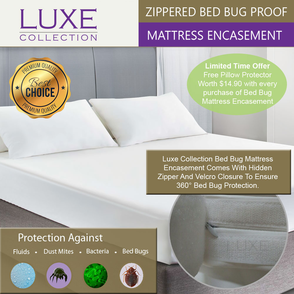 Small Double /4ft Premium Quality Zipper Anti Allergy Bed Bug Waterproof Mattress Total Encasement Protector Cover 