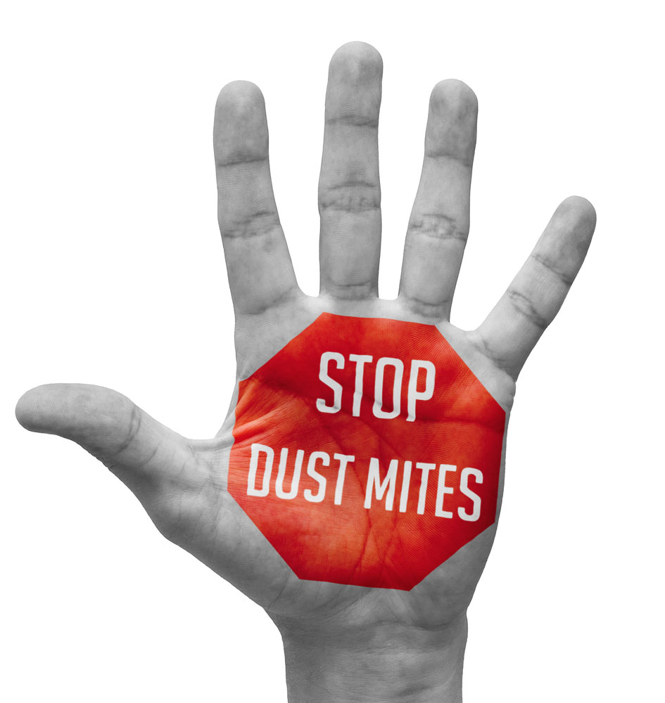Stop Dust Mites